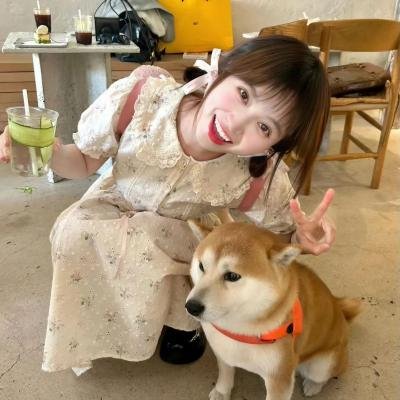 德州巡行者